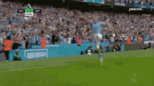A Soccer Player Celebrates A Goal On The Field GIF