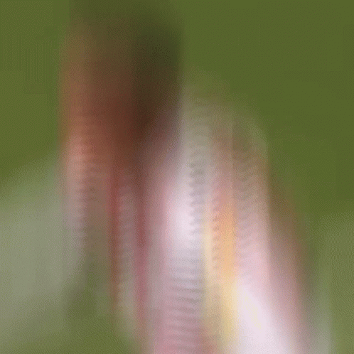 A Soccer Player In A Red And White Striped Shirt Is Celebrating A Goal On The Field . GIF