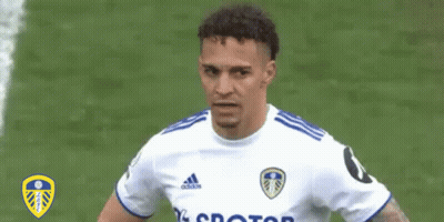 A Soccer Player Wearing A White And Blue Shirt Is Standing On A Field . GIF