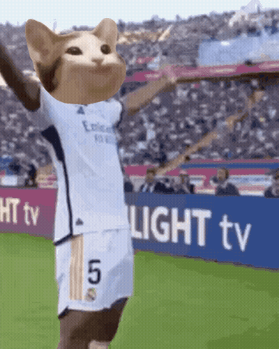 A Soccer Player With A Cat 'S Head And The Number 5 On His Shorts GIF