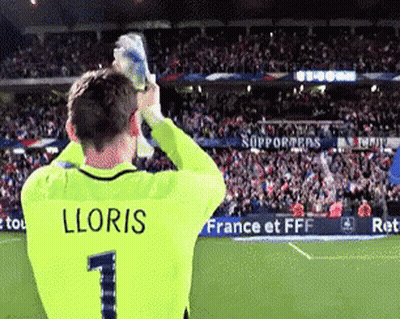 A Soccer Player With The Name Lloris On The Back Of His Shirt GIF