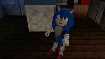 A Sonic The Hedgehog Standing In Front Of A Block That Says Wild Craft GIF