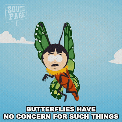 A South Park Poster With A Butterfly On It GIF