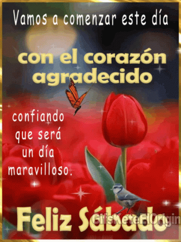 A Spanish Greeting Card With A Red Flower And A Butterfly GIF