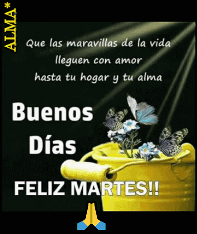 A Spanish Greeting Card With A Yellow Pot Of Flowers And Butterflies GIF