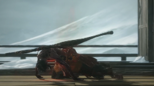 A Spider Is Crawling In Front Of A Window GIF
