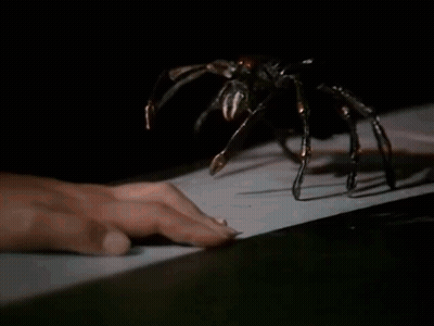 A Spider Is Crawling On A Person 'S Hand While A Person Is Typing On A Keyboard . GIF