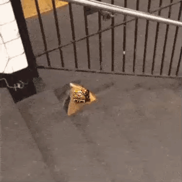 A Spider Is Crawling On A Staircase Next To A Fence . GIF