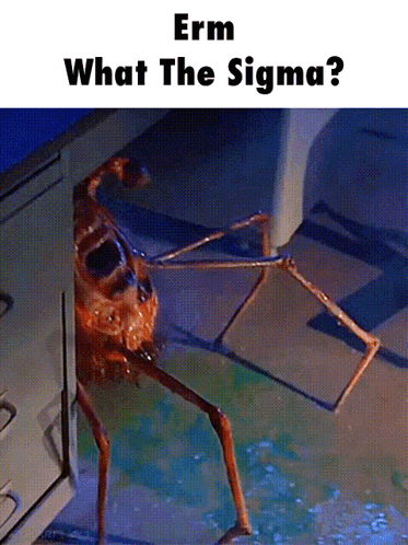 A Spider Is Crawling Out Of A Drawer And The Caption Says Erm What The Sigma GIF