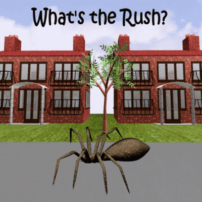 A Spider Is Standing In Front Of A Brick Building With The Words What 'S The Rush GIF