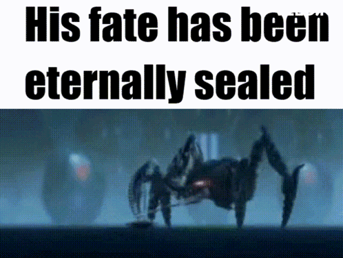 A Spider With The Words His Fate Has Been Eternally Sealed Above It GIF