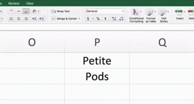 A Spreadsheet With The Words Petite Pods Written On It GIF