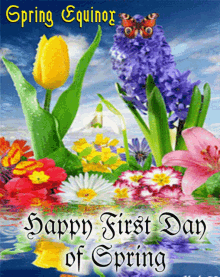 A Spring Equinox Greeting Card With Flowers And Butterflies GIF
