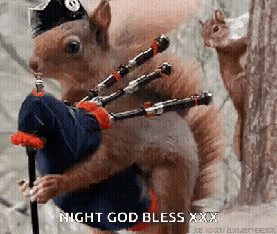 A Squirrel Is Playing A Bagpipe While Another Squirrel Watches . GIF