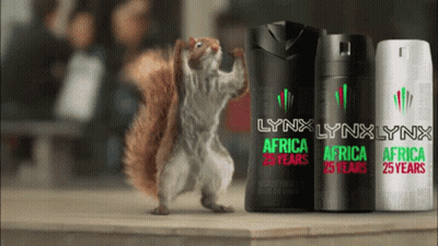 A Squirrel Is Standing Next To Lynx Africa Deodorants GIF