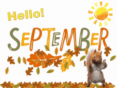 A Squirrel Standing In A Pile Of Leaves With The Words Hello September GIF