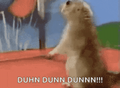 A Squirrel Standing On Its Hind Legs And Saying Duhn Dunn Dunn GIF