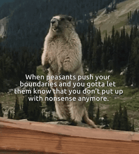 A Squirrel Standing On Its Hind Legs With A Quote About Pushing Your Boundaries GIF