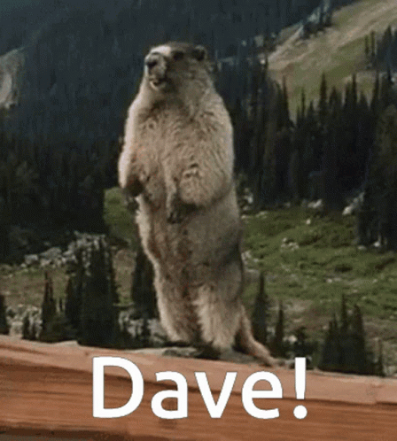 A Squirrel Standing On Its Hind Legs With The Word Dave Below It GIF