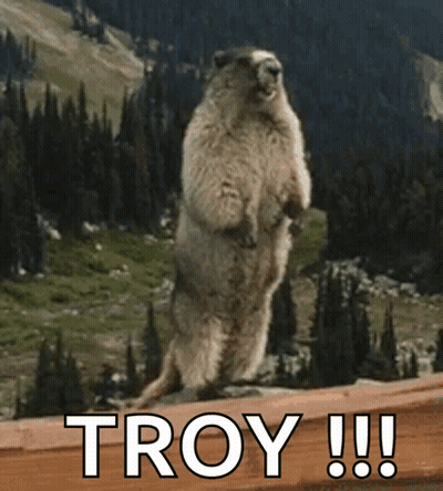 A Squirrel Standing On Its Hind Legs With The Word Troy Written Below It GIF