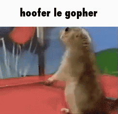 A Squirrel Standing On Its Hind Legs With The Words Hoofer Le Gopher Above It . GIF