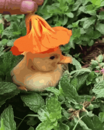 A Squirrel Wearing An Orange Hat Is Sitting In A Plant GIF