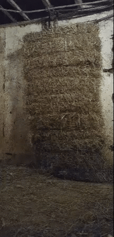 A Stack Of Hay With The Words Hey Kool-Aid On It GIF