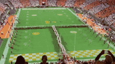 A Stadium Full Of People Watching A Football Game With The Letters Tn On The Field GIF