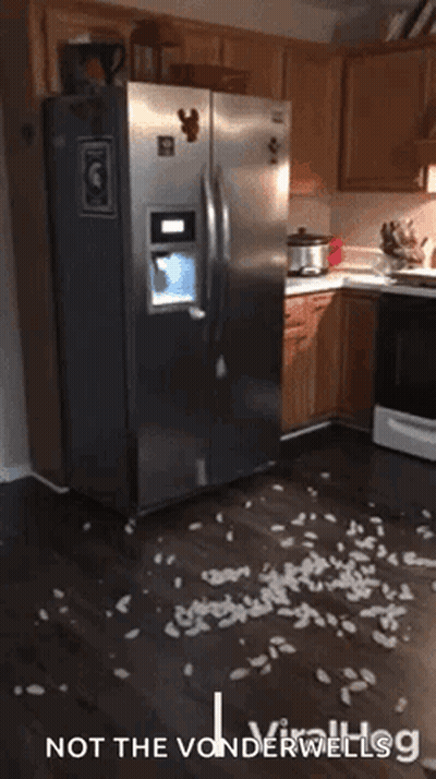 A Stainless Steel Refrigerator In A Kitchen With The Words Not The Vonderwellsg GIF