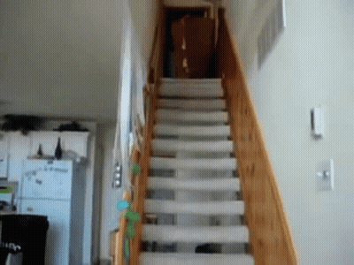 A Staircase With A White Carpet And A Wooden Railing In A House GIF