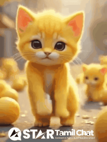 A Star Tamil Chat Advertisement With A Kitten GIF