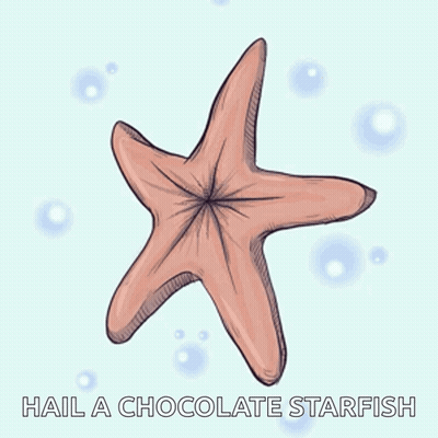 A Starfish With The Words Hail A Chocolate Starfish Below It GIF