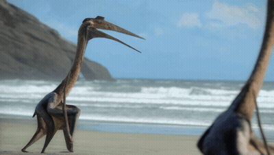 A Statue Of A Bird With A Long Neck Standing On A Beach GIF