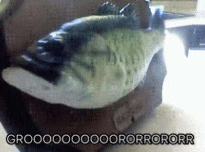 A Statue Of A Fish With The Words Groooooooooorrororr Below It GIF