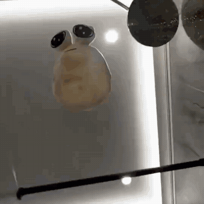 A Statue Of A Frog With Big Eyes Is Hanging On A Glass Wall . GIF
