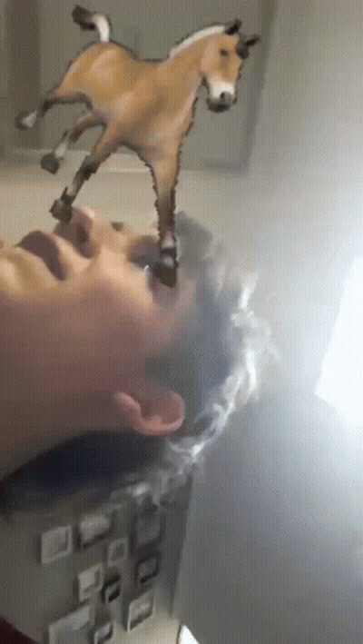 A Statue Of A Horse Is Being Held Over A Person 'S Head GIF