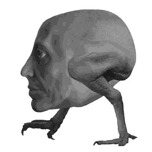 A Statue Of A Man With A Bird 'S Head And Legs Sticker