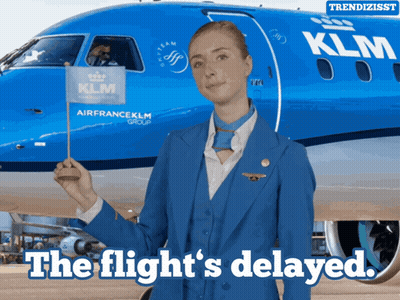 A Stewardess Is Holding A Flag In Front Of A Klm Plane GIF