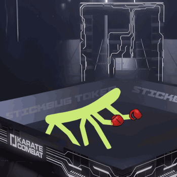 A Stick Figure Is Laying On The Floor In A Karate Ring GIF
