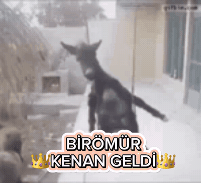 A Sticker With A Picture Of A Goat And The Words Biromur Kenal Geldi GIF