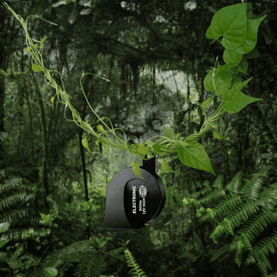 A Sticker With The Letter T On It Is In The Middle Of A Forest GIF