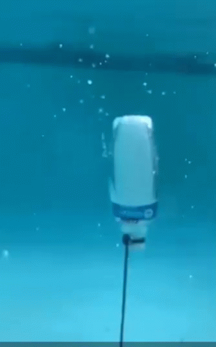 A Stingray Is Swimming In A Tank Of Water With Bubbles Coming Out Of It 'S Mouth . GIF
