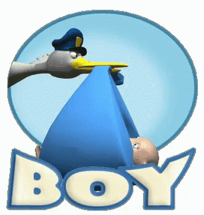 A Stork Is Carrying A Baby In A Blue Blanket And The Word Boy Is Behind It GIF