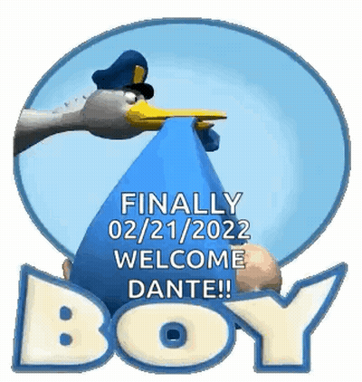 A Stork Is Holding A Baby In Its Beak And The Words `` Finally Welcome Dante ! '' GIF