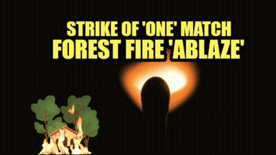 A Strike Of One Match Forest Fire ' Ablaze ' Sign GIF