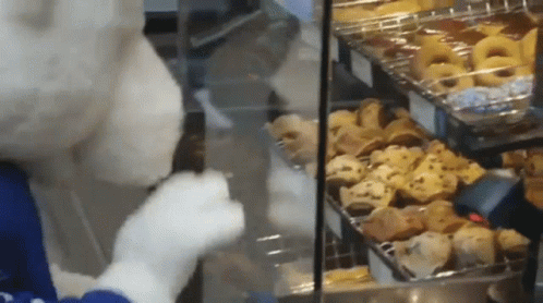 A Stuffed Animal Is Eating A Donut From A Glass Case GIF