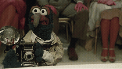 A Stuffed Animal Is Holding A Camera With A Flash On It GIF