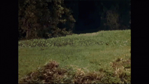 A Stuffed Animal Is Jumping In The Air In The Grass . GIF
