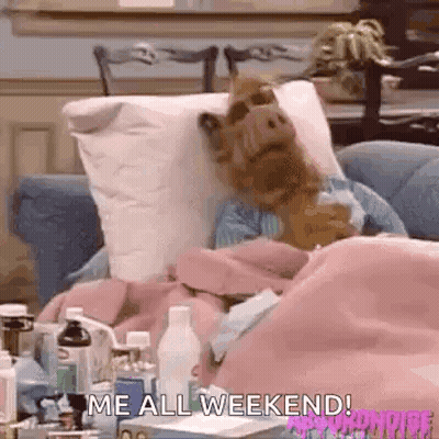 A Stuffed Animal Is Laying In A Bed With A Pillow And A Blanket . GIF