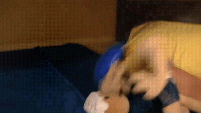 A Stuffed Animal Is Laying On A Bed With A Bandage On Its Head . GIF